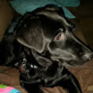 Meet your Posher, Carrie